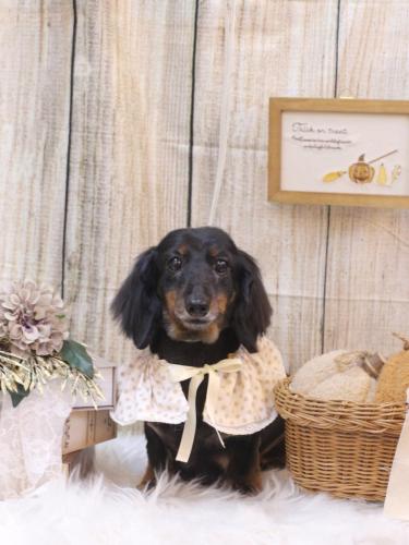 20241023ハルちゃん